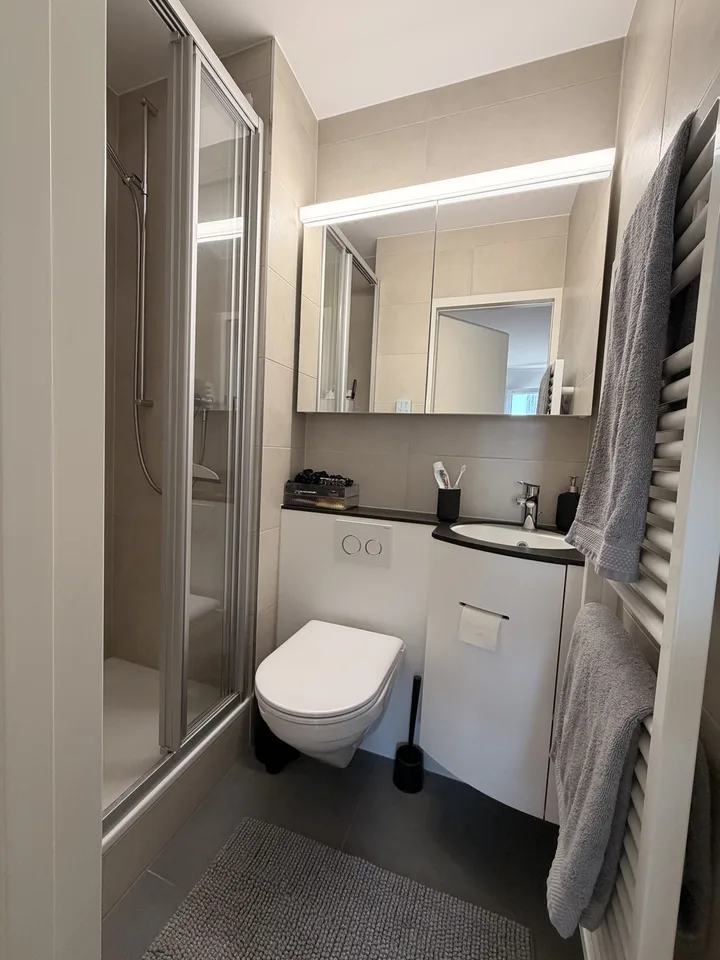 Gemütliche 2-Zimmer-Wohnung mit Balkon und toller Aussicht in Spreitenbach