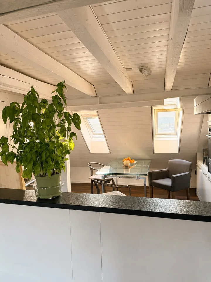 360° Rooftop Living in the Heart of Kreis 1