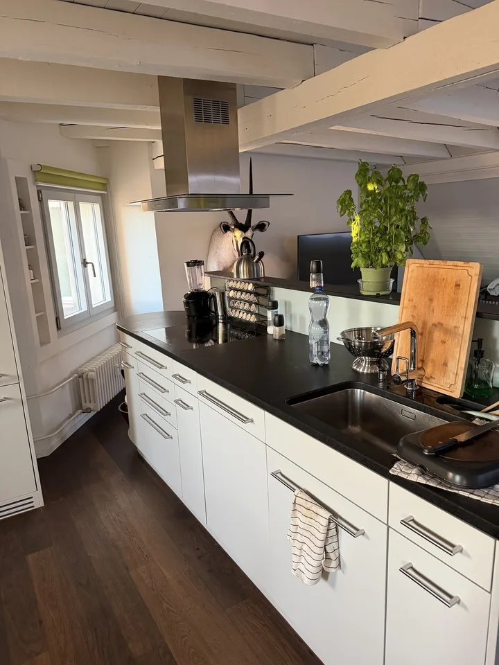 360° Rooftop Living in the Heart of Kreis 1