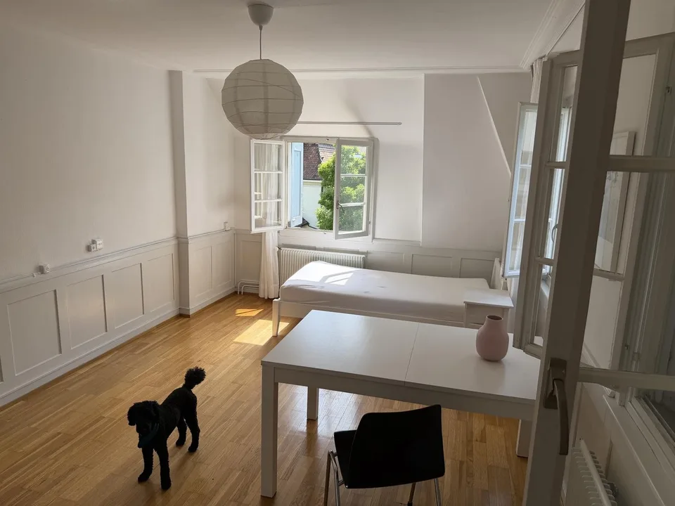 2 Möblierte Zimmer in stilvoller Altbauwohnung in Allschwil – Nähe Basel