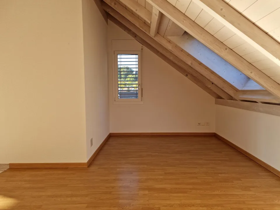Wohnung direkt an der Emme