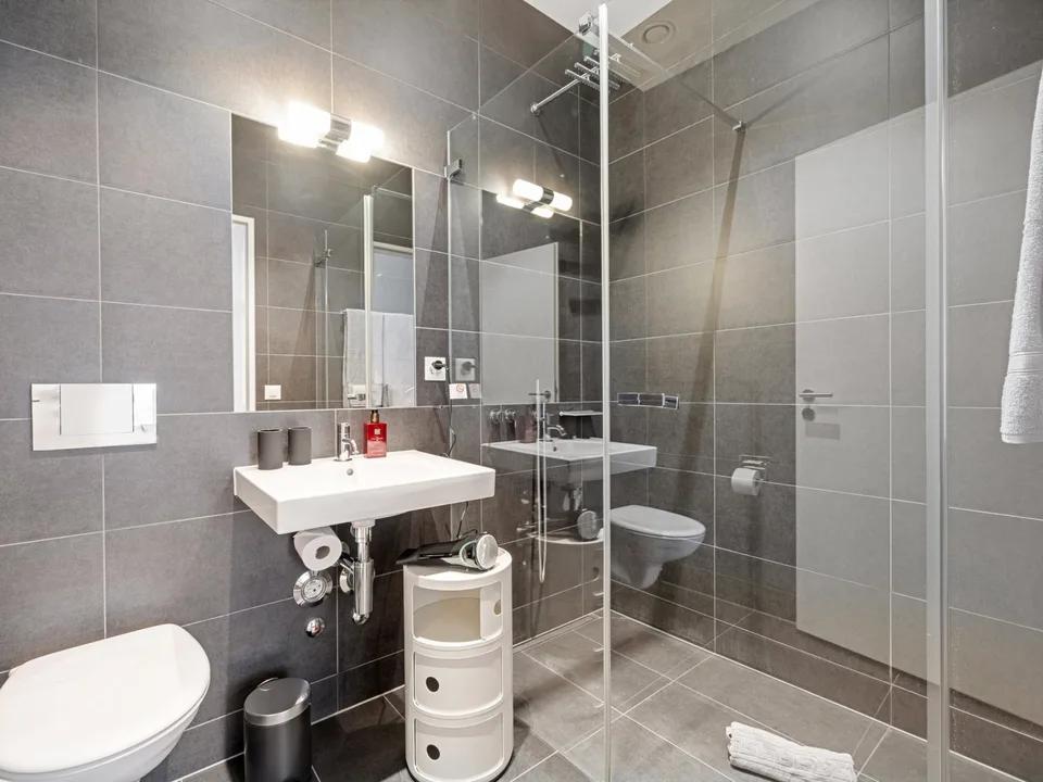 Basel-Erlenmatt - Design-Apartment im modernen Erlenmattquartier