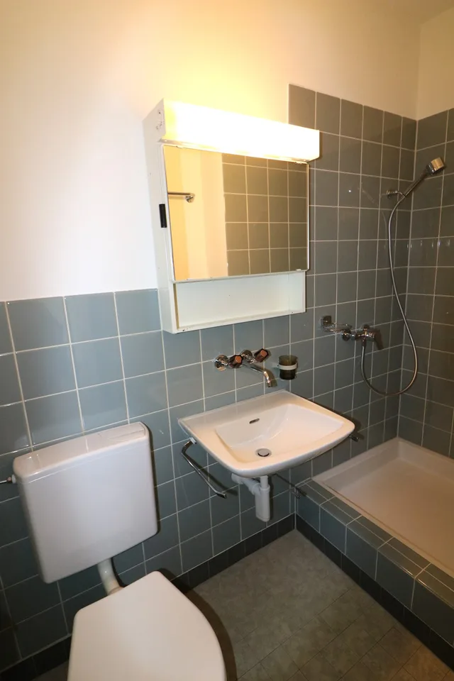 Rustikale 1 Zimmerwohnung!