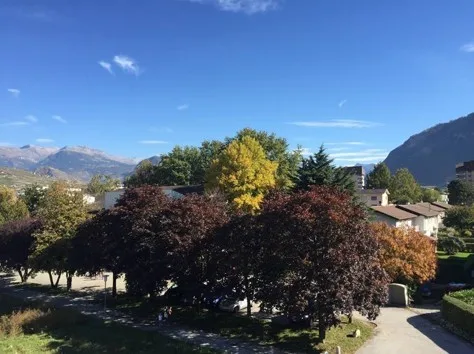 Studio meublé - Quartier Champsec, Sion