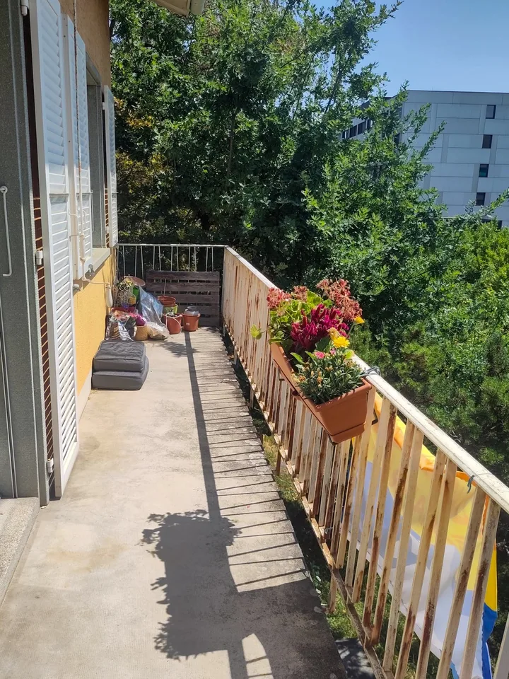 Chambre à louer dans magnifique maison avec jardin