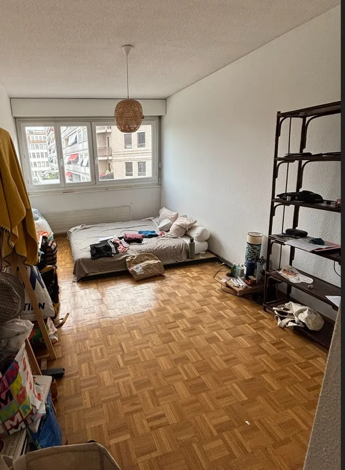 À saisir ! Splendides Wohnung im Herzen von Genf!