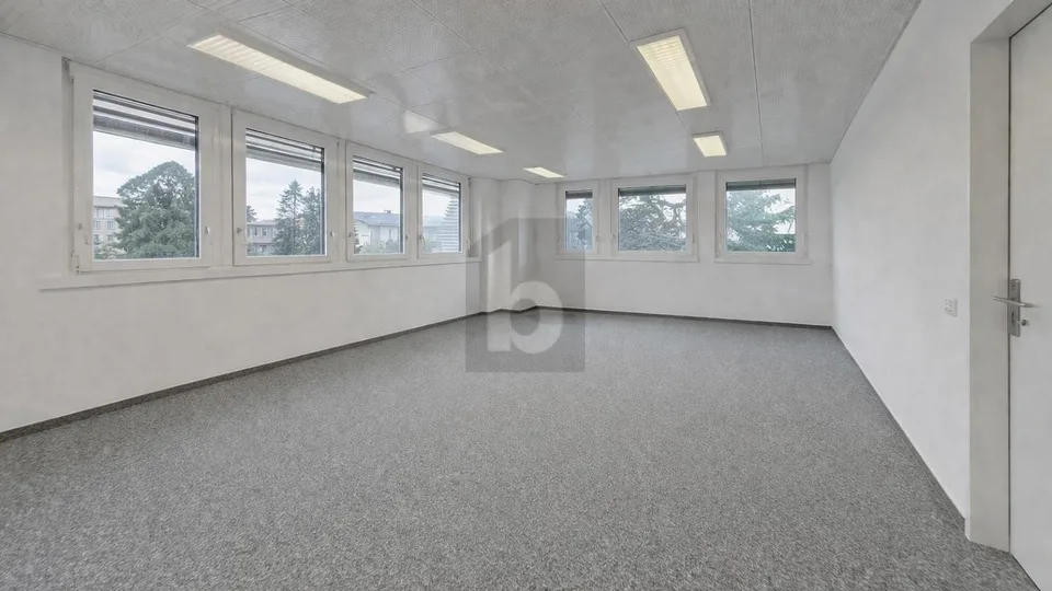 SURFACE LUMINEUSE DANS UN ENVIRONNEMENT CALME