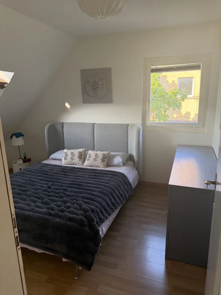 Cute appartment in Zurich city