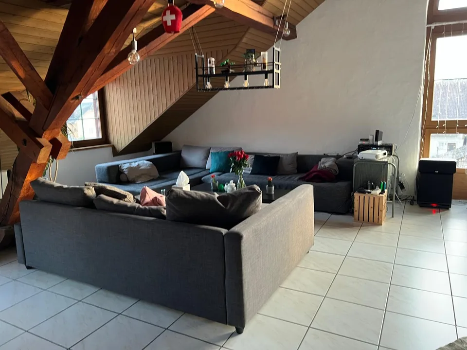 Spacious 19m2 room available in a cozy attic flat with a huge terrace