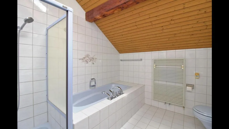 Spacious 19m2 room available in a cozy attic flat with a huge terrace