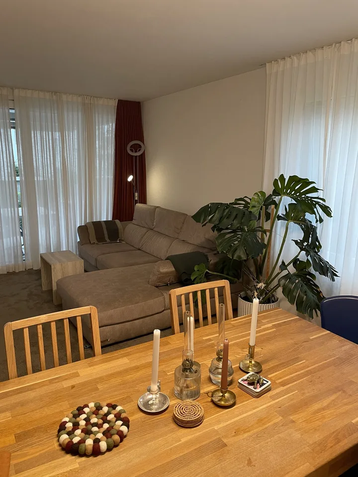 Furnished sublet 3,5-rooms in Baar