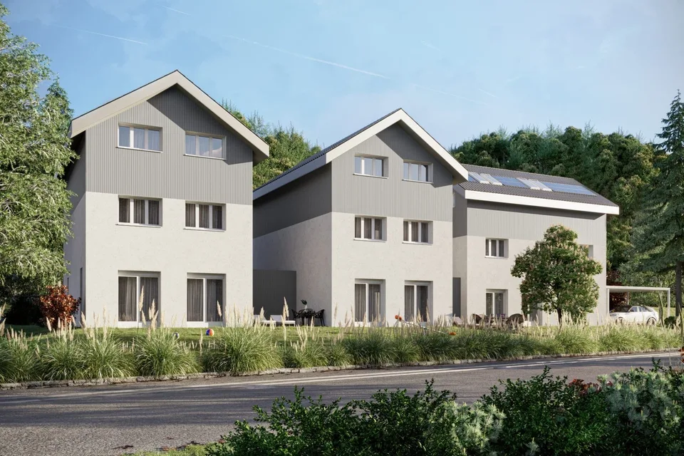 Neubau in Steg im Tösstal