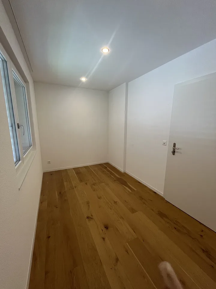 Modernes Studio/Büro (33.5 m²) an Top-Sichtlage in Aesch LU – direkt am Bach