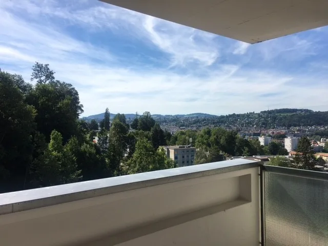 1.1	Grosse und helle 2.5-Zimmer-Wohnung mit Balkon und Weitsicht