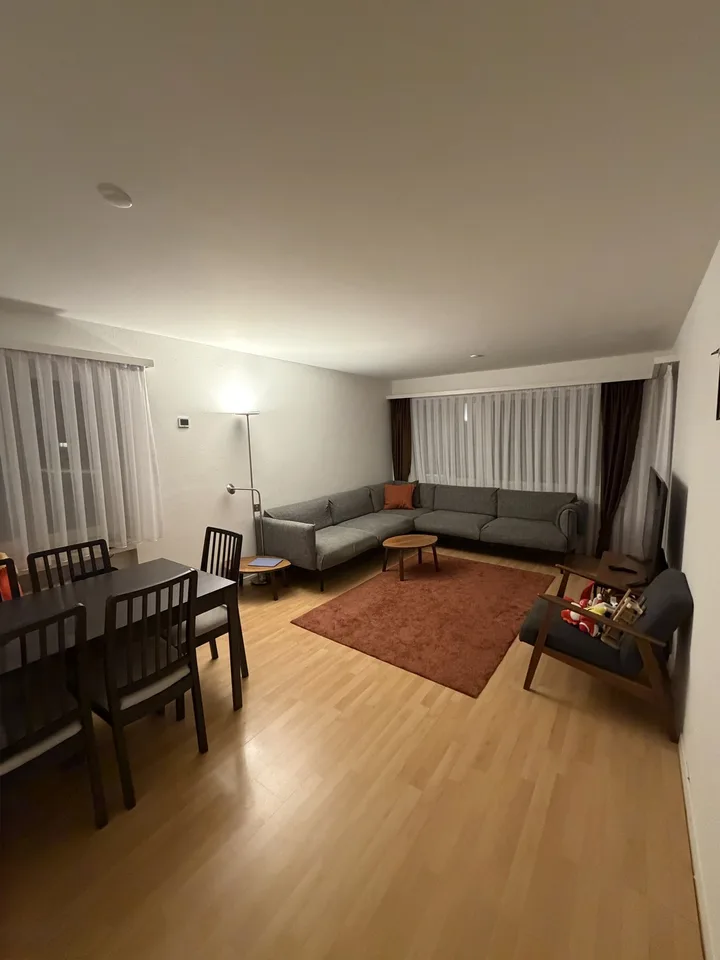 3 room apartment in Dűbendorf