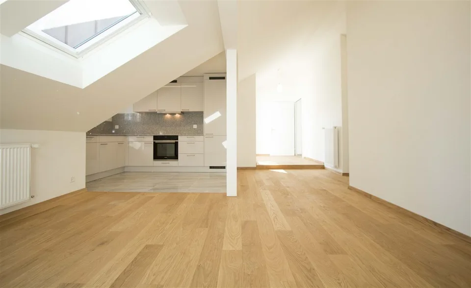 2 Room Apartment in Wiedikon