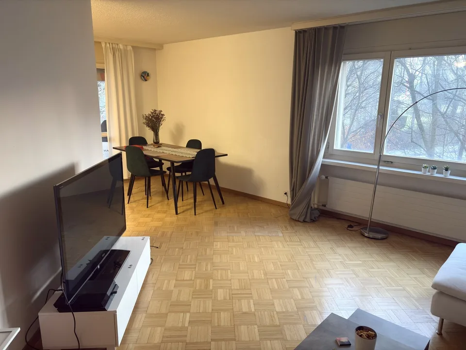 Apt for rent temporary till October 2026