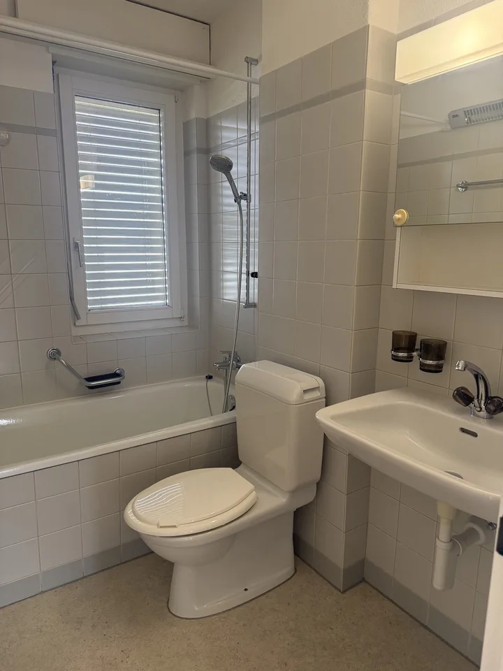 Helle 3-Zimmerwohnung mit Balkon an guter Lage in Winterthur