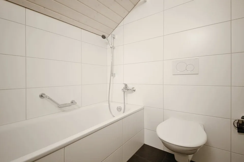 MIETEN OHNE KAUTION - Suchen Sie Ihre neue Dachwohnung in Winterthur?