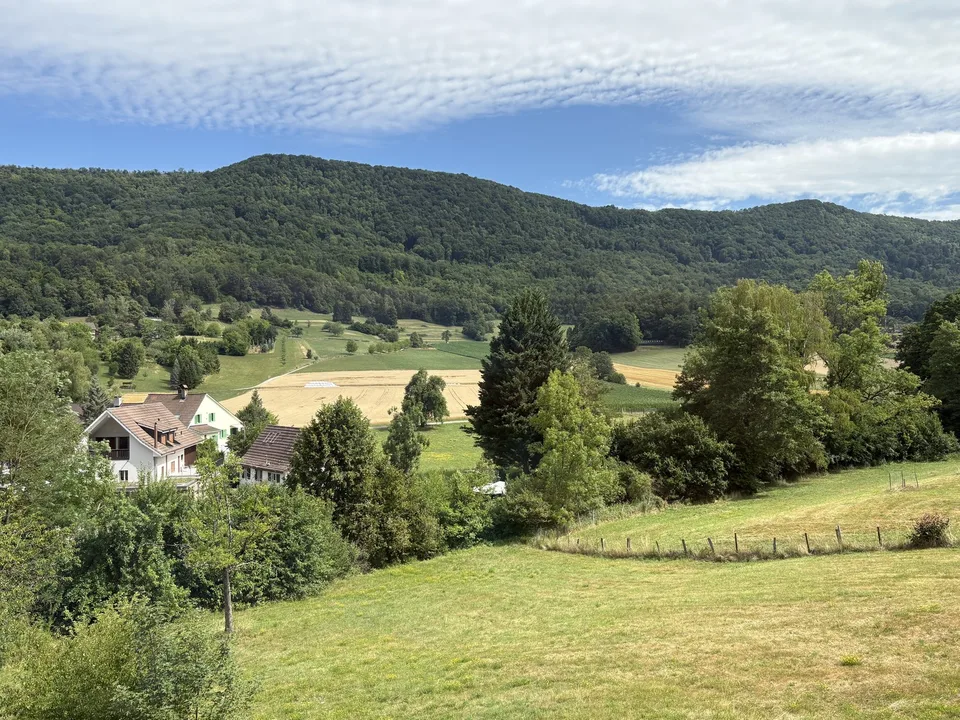 Schöne Wohnung ab sofort zu vermieten