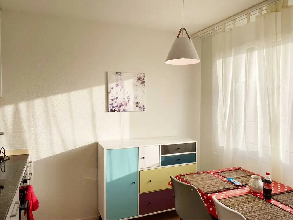 🏡 Vollständig möblierte 1,5-Zimmer-Wohnung zur Miete – Ueberlandstrasse, 8051 Zürich