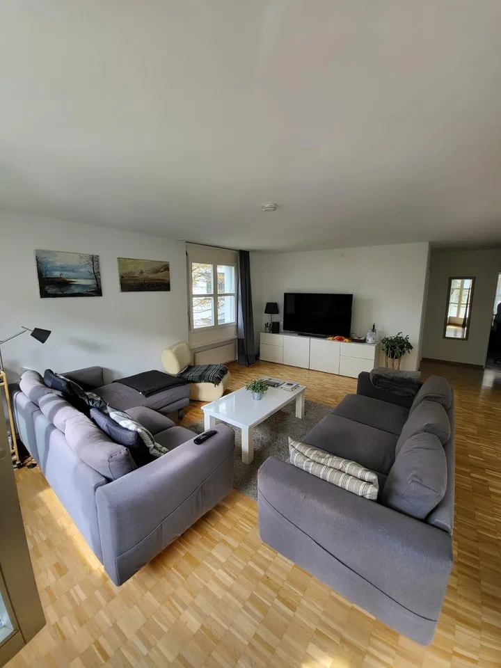 WG-Zimmer (13 m²) in 110-m²-Wohnung direkt bei der Hardbrücke ab September/Oktober