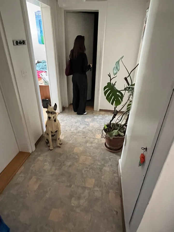 WG Zimmer ab sofort zu vemieten