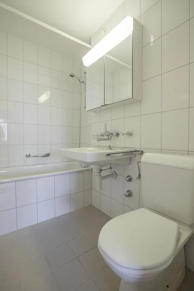 Helle Wohnung im Friesenbergquartier mieten