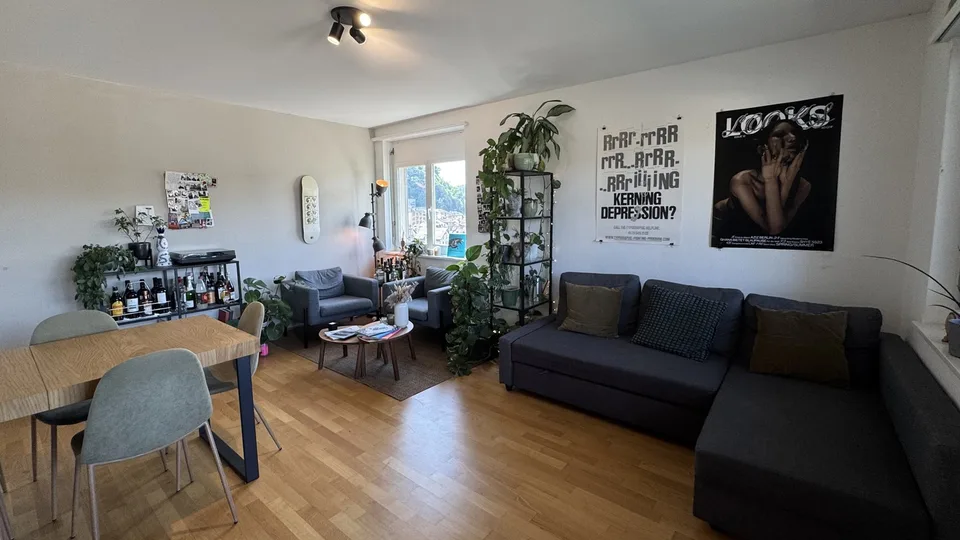 Helle Altbauwohnung mit Balkon und traumhafter Aussicht über Luzern