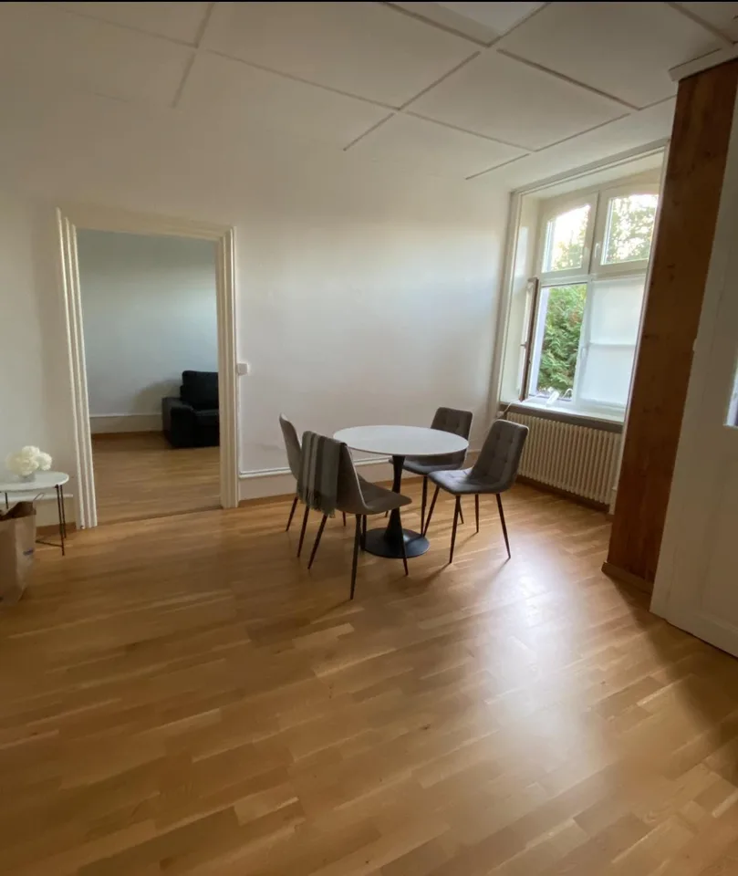 Suchen Sie ein neues Zuhause in Basel? Möbliert und Flexibel