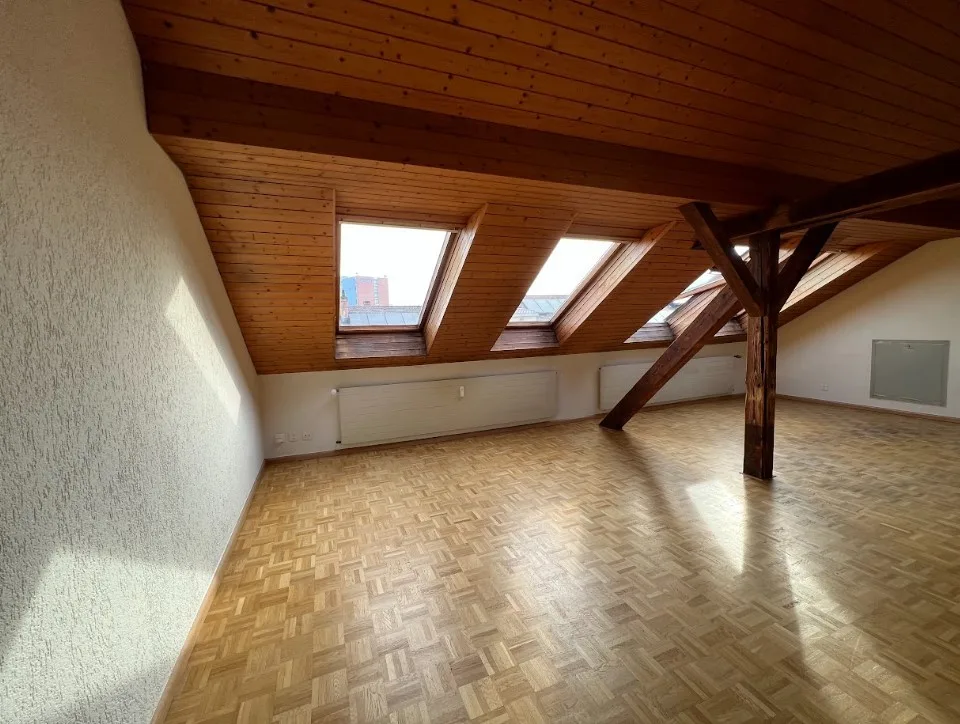 Charmante & lichtdurchflutete 1.5-Zimmer-Dachwohnung mit Loft-Charakter