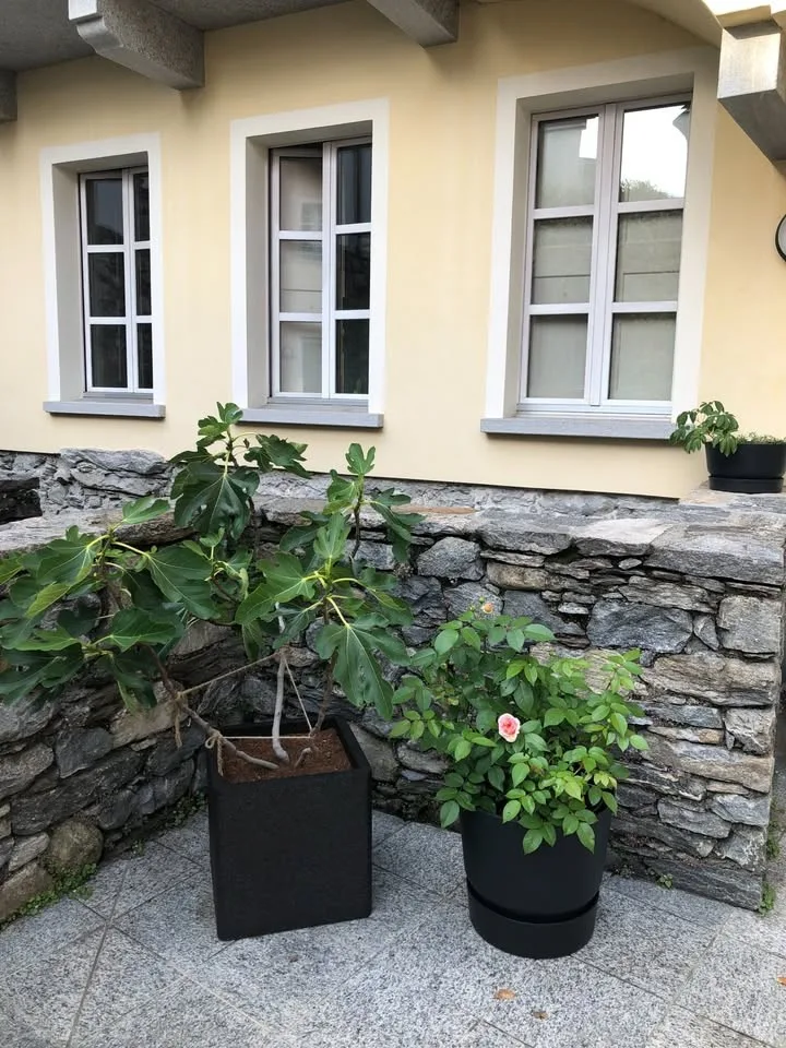 Cerco Subentrante per una casa in stile Ticinese/ Suche Nachmieter für Wohnung im Tessiner Stil