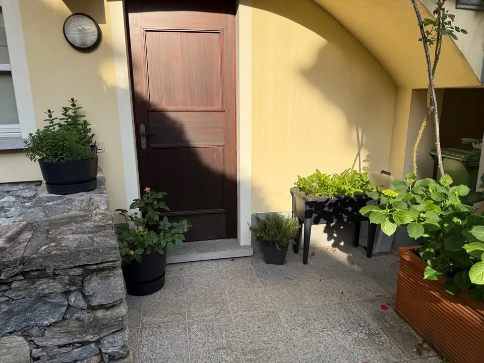 Cerco Subentrante per una casa in stile Ticinese/ Suche Nachmieter für Wohnung im Tessiner Stil