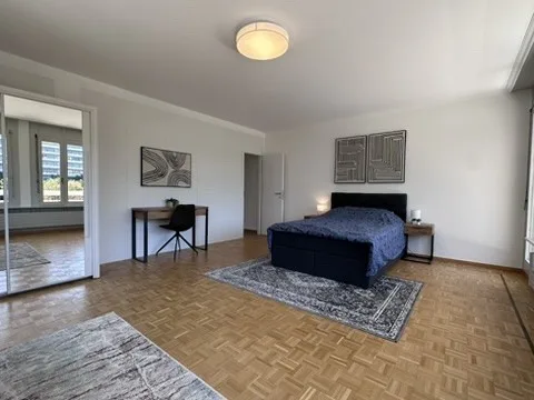 Coliving Convivial et Fonctionnel à Grand-Saconnex