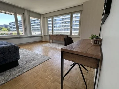 Coliving Convivial et Fonctionnel à Grand-Saconnex