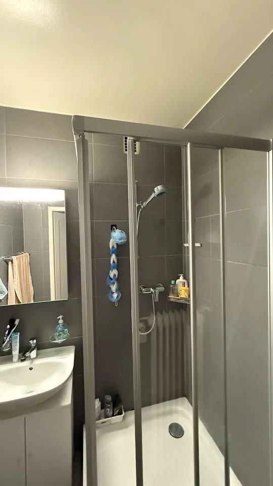 Apartment to Rent in Geneva