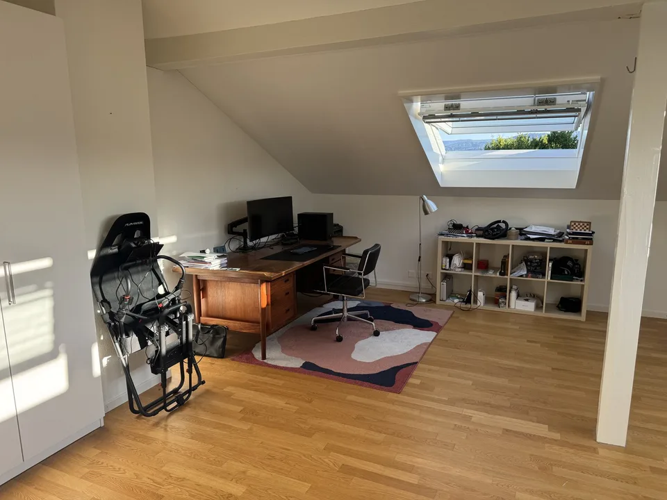 Dachwohnung (mit AC!)