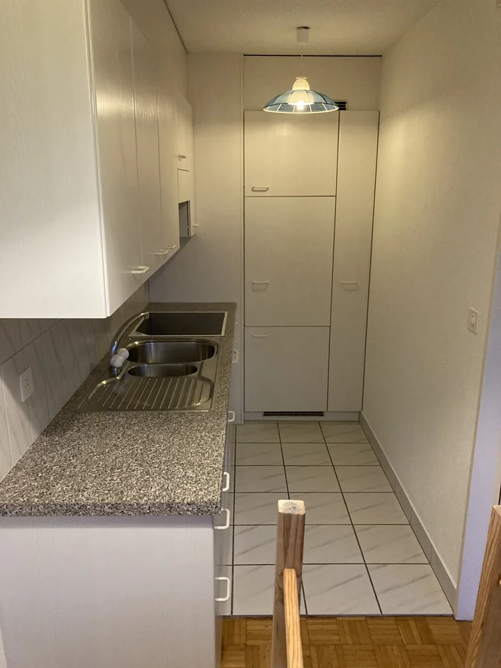 Schöne Wohnung über den Daechern von Zuerich