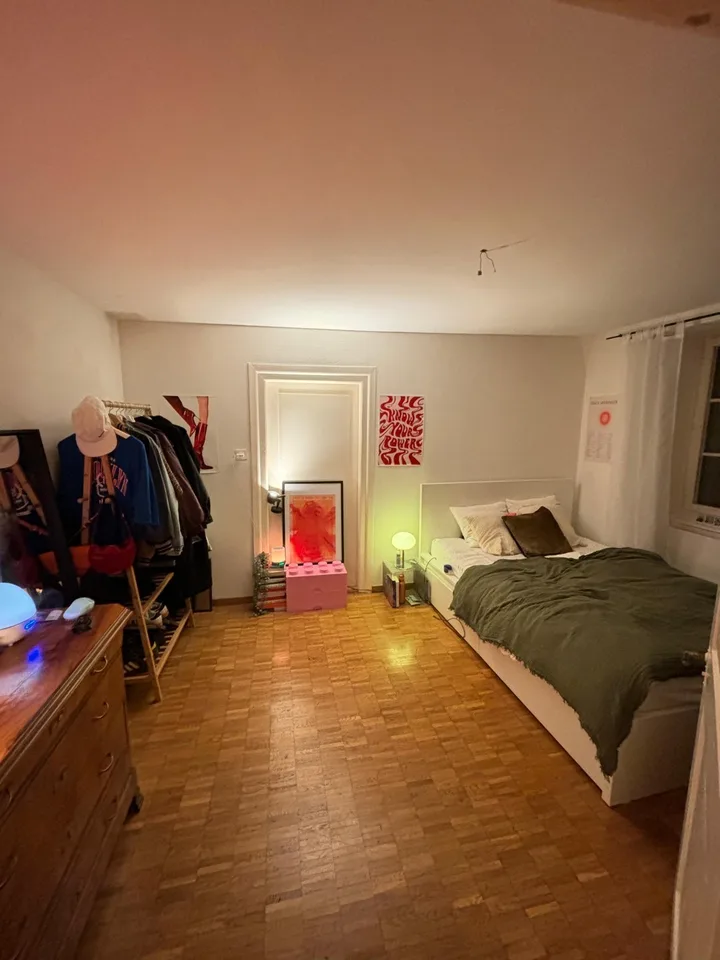 Zentralstes WG-Zimmer von Luzern in grosser Wohnung!