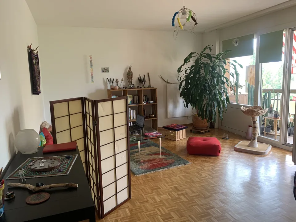 Colocation dans spacieux 3.5 pièces