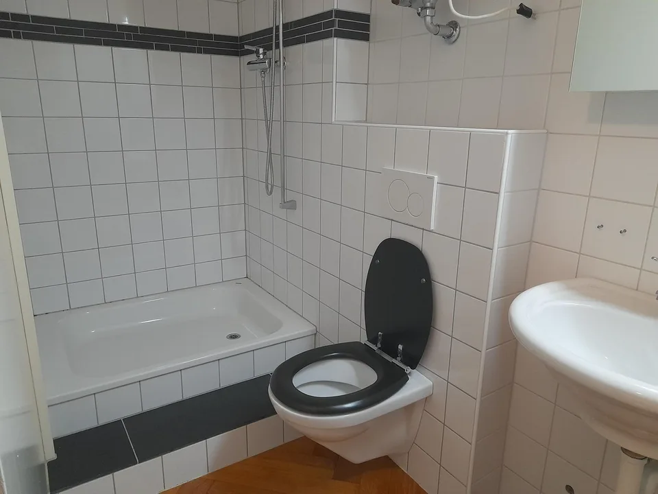 2.5 Zimmer Wohnung mit grosser Terrasse zu vermietern