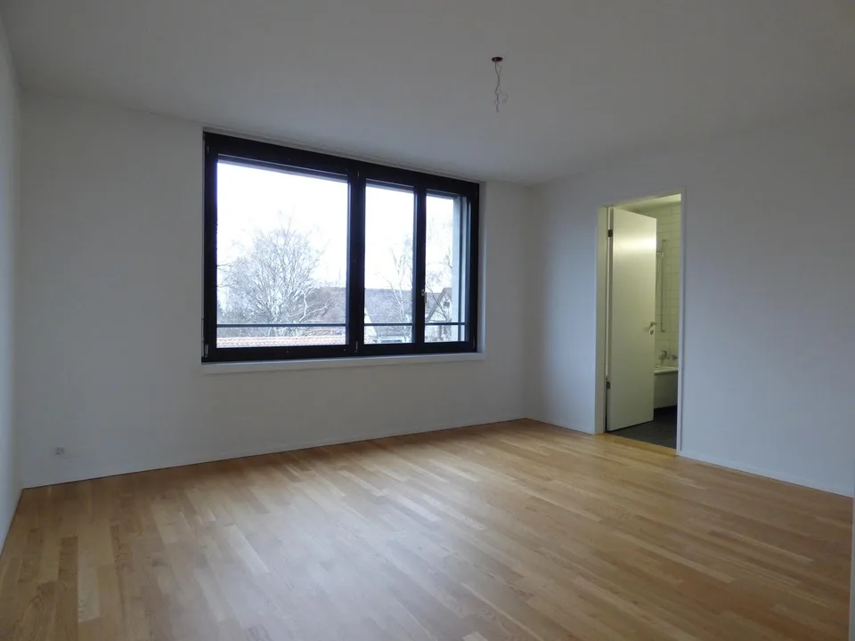 Beautiful Two Terrace Modern Top Floor in Wollishofen