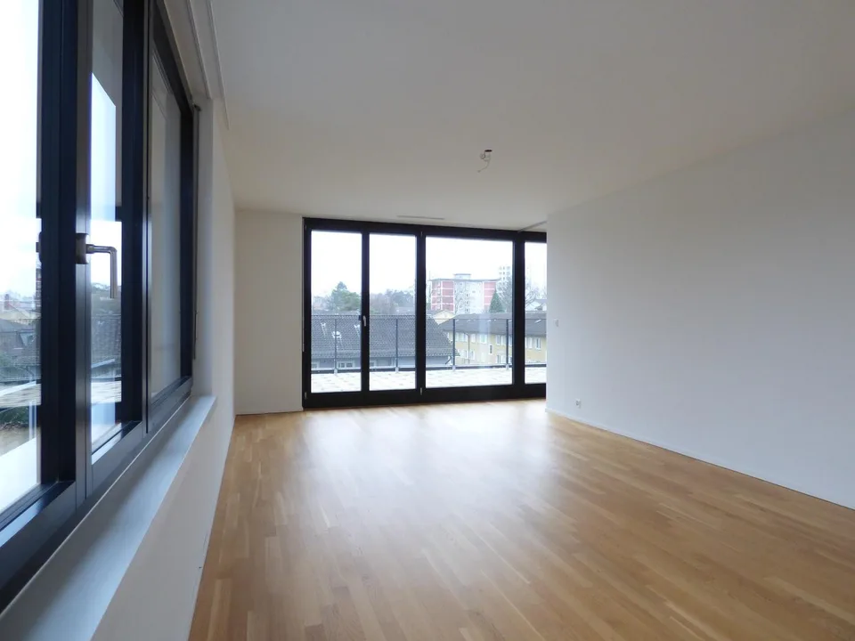 Beautiful Two Terrace Modern Top Floor in Wollishofen