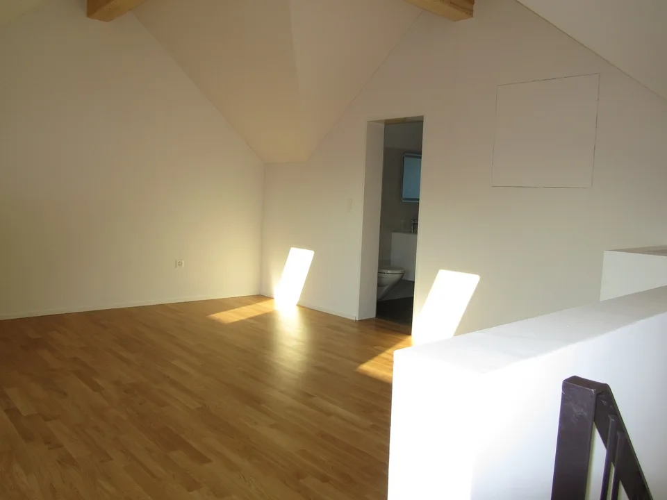 Moderne 2.5 Duplex-Wohnung mit Dachterrasse
