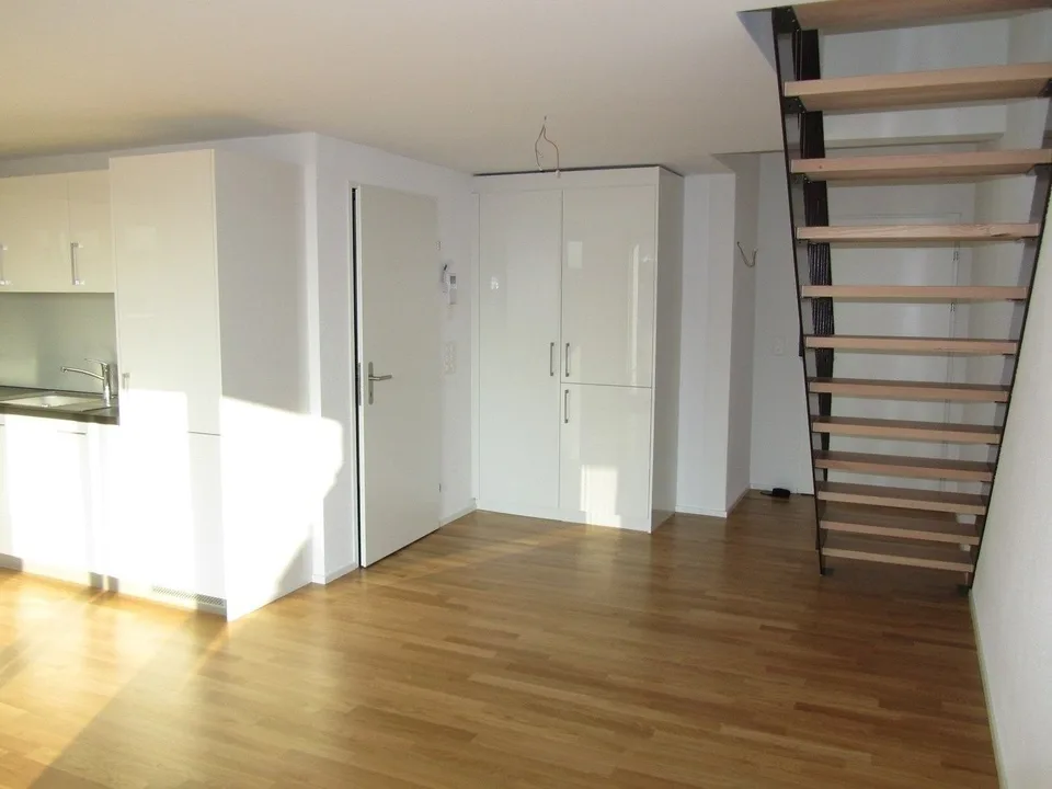 Moderne 2.5 Duplex-Wohnung mit Dachterrasse