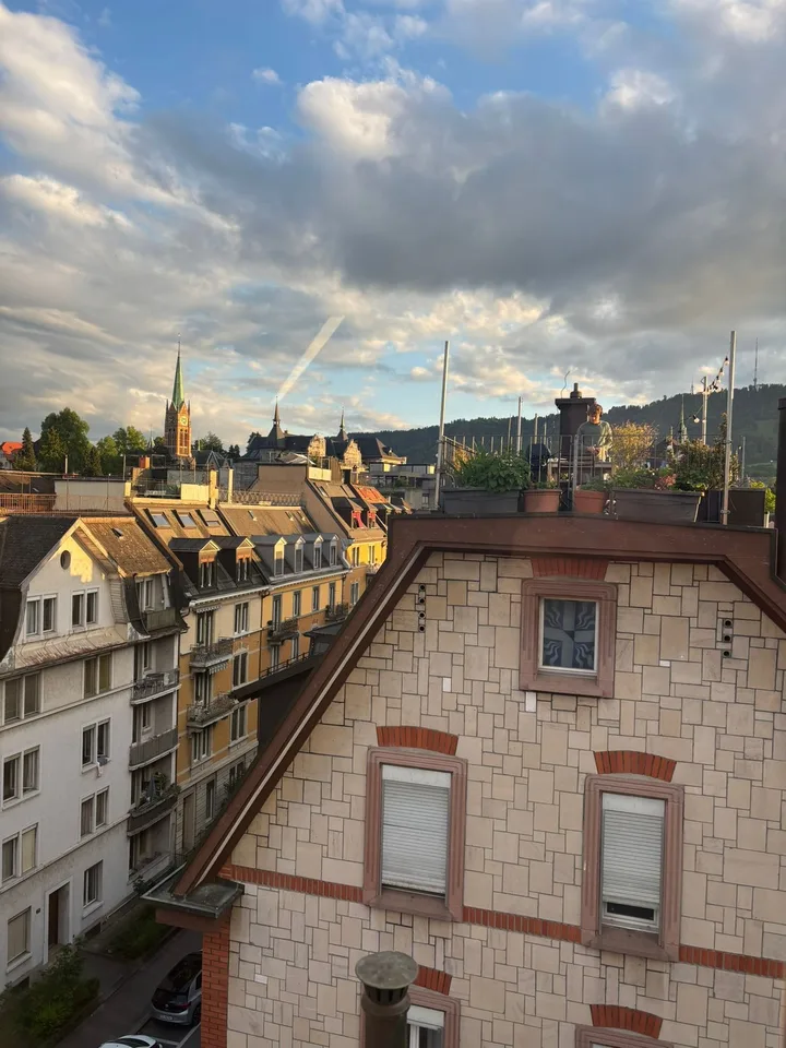 Helle Dachwohnung mit Uetlibergblick / Bright Attic Apartment with Uetliberg View
