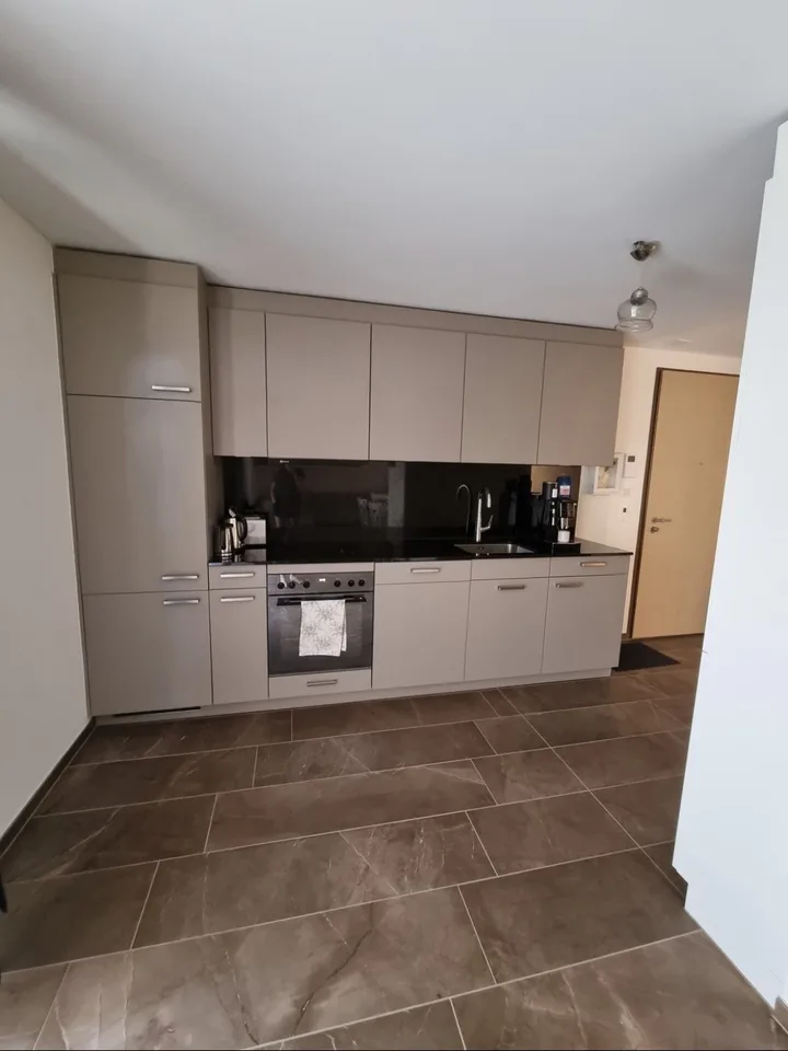 Modern loft apartment in kreis 4