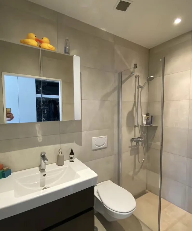 Studio Apartment in Altstetten (Temporary up to 5 months)