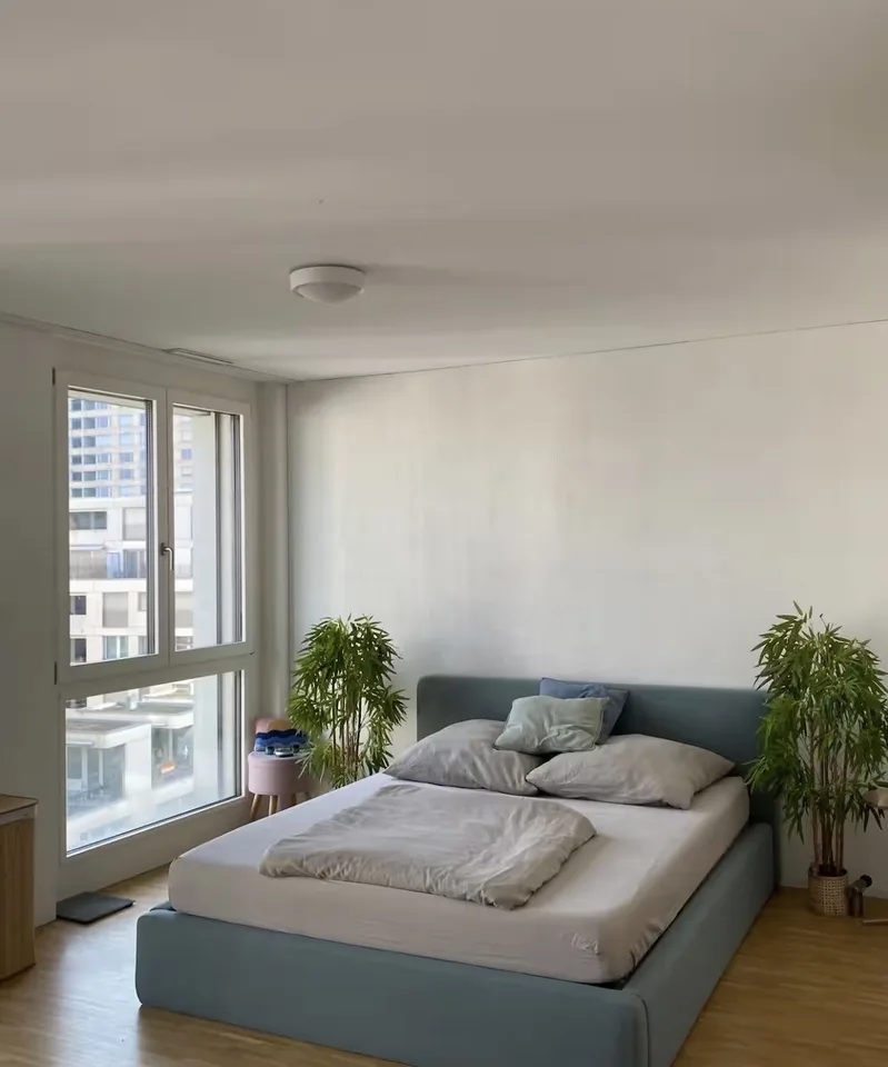 Studio Apartment in Altstetten (Temporary up to 5 months)