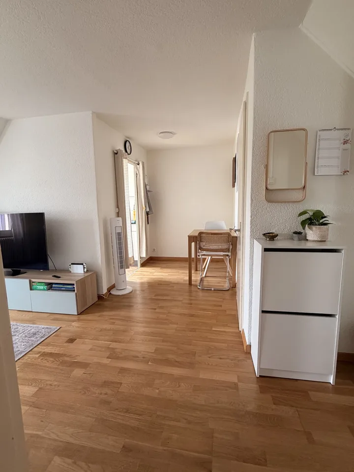 Gemütliche 2.5-Zimmer-Dachwohnung in Dübendorf